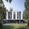 Robinia - image 3