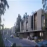 Robinia - image 2