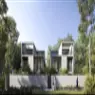 Robinia - image 4