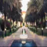 Bloom Gardens - image 5