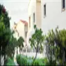 Bloom Gardens - image 2