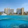Oceana - image 10