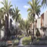 Palm Hills - image 6