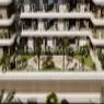 Veona - image 8