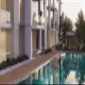 Albero - image 4