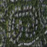 Sarai - image 5