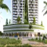Colibri Views - image 9