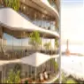 Colibri Views - image 3
