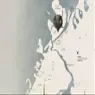 Seacliff - image 10