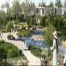 Meydan Avenue C - image 4